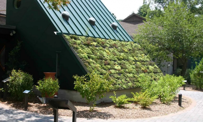 Renewable Energy