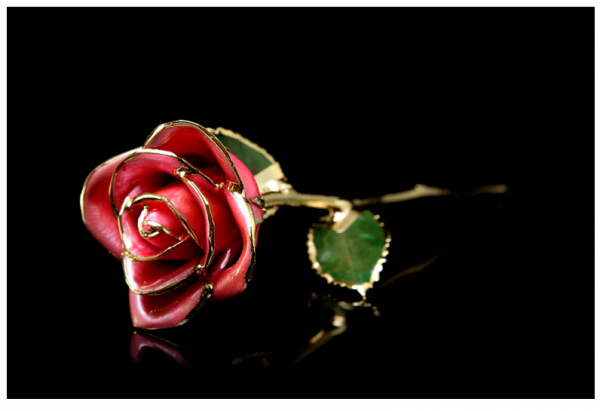 Luxury Retailer Goldgenie.com Debuts Everlasting Valentine’s Gifts with Real Roses Dipped in Gold