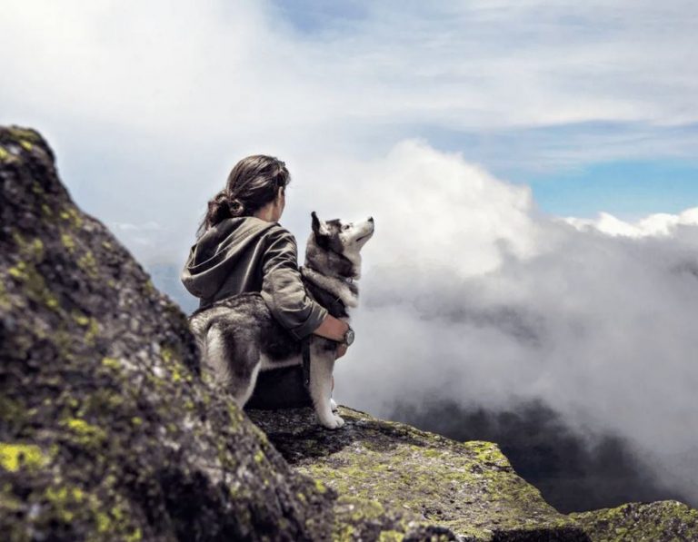 The Founder Of The Japanese Way Talks About Their Blog And Japanese Culture