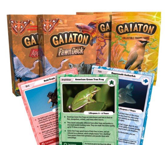 Real World Collectible Trading Cards