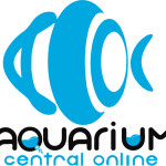 orginal-logo